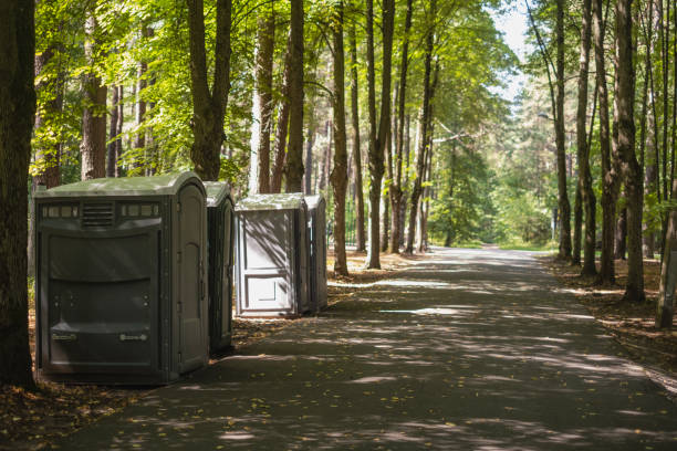 Best Portable bathroom rental  in Pontoon Beach, IL
